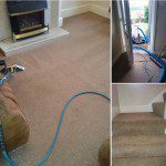 full house carpet clean