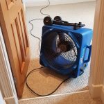 Carpet Cleaning Air Mover