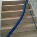 Cleaning carpet steps