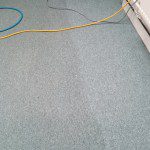 Low Moisture Carpet Clean